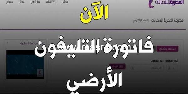 EG8mVYyWwAAOD8j