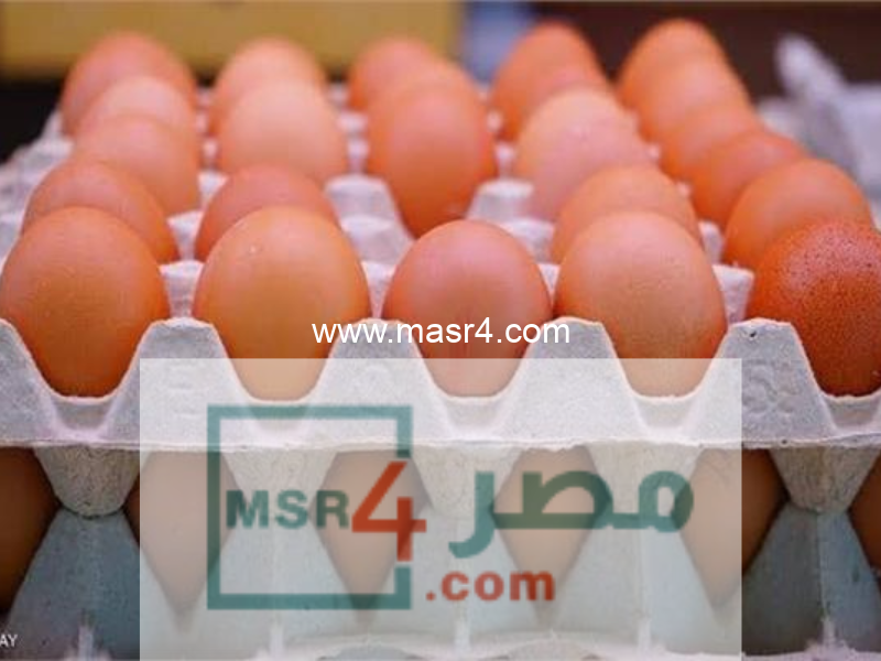 كرتونة البيض 1